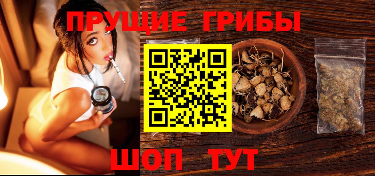 Галлюциногенные грибы GOLDEN TEACHER  где купить наркотик  Павловский Посад  Псилоцибиновые грибы мицелий  Вход с VPN 